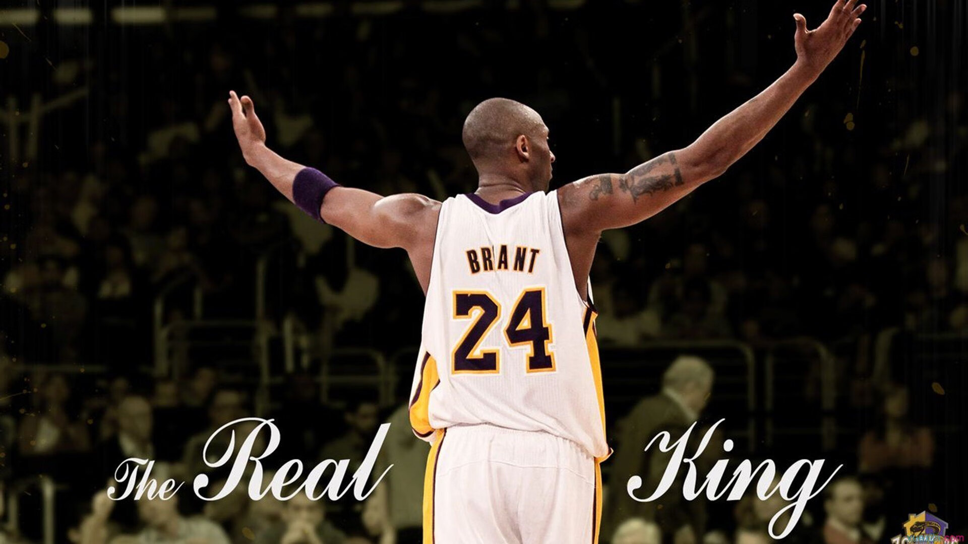 帕尔默接管世界排名之战，安哥拉强势晋级几内亚，非洲篮球新秩序崛起